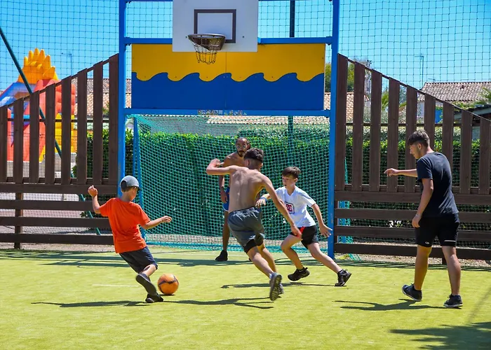 Le Moulin De La Salle Camping 4*